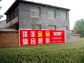 沿河如何让墙体广告展现最大化效果