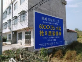 沿河墙体广告质量分析