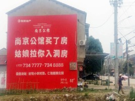 沿河墙体广告在乡镇、农村市场的媒体优势