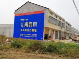 沿河农村墙体广告在不同形式上面展现的不同特色