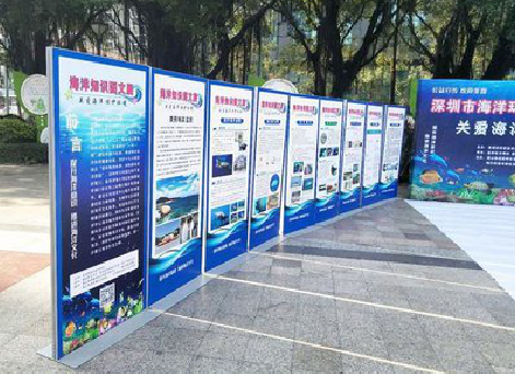 沿河KT板的种类和知识。